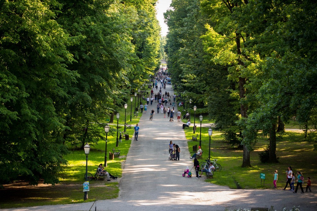 Maksimir