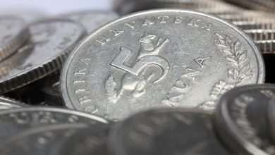 Photo: shutterstock kuna