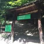 Bikcevic trail start