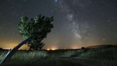 Boris Stromar_#croatiafullofstars