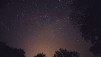 Photo by: Josh Felise