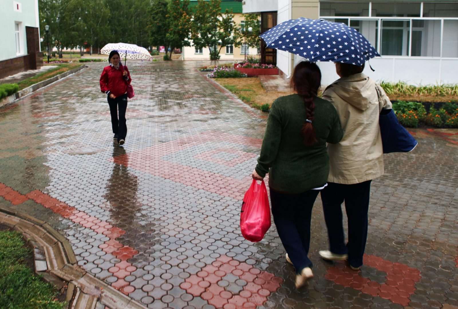 последствия наводнений. дождливый день. дождь в мае. дождь в мае. дождь в городе.