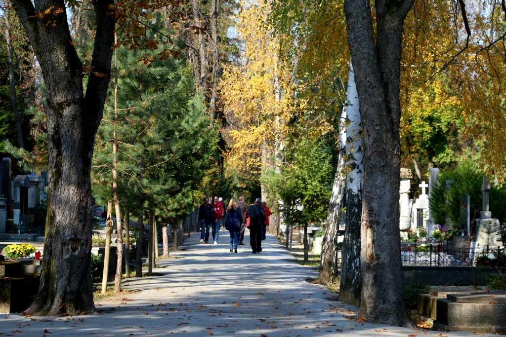 Mirogoj avenue