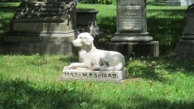 pet cemetery/pixabay.com