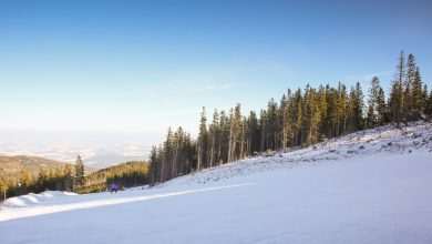 Photo: Viktor Hanacek