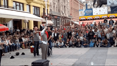 cest is d best youtube