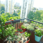 tanja_balconygarden