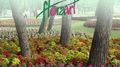 floraart 2017